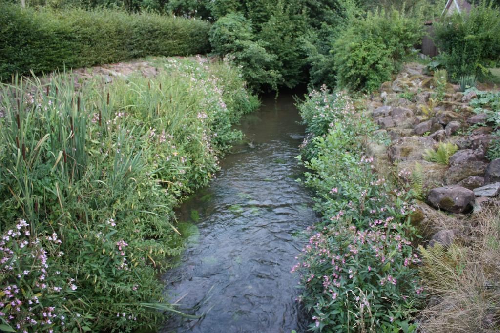 Du Moulin Uhrwiller