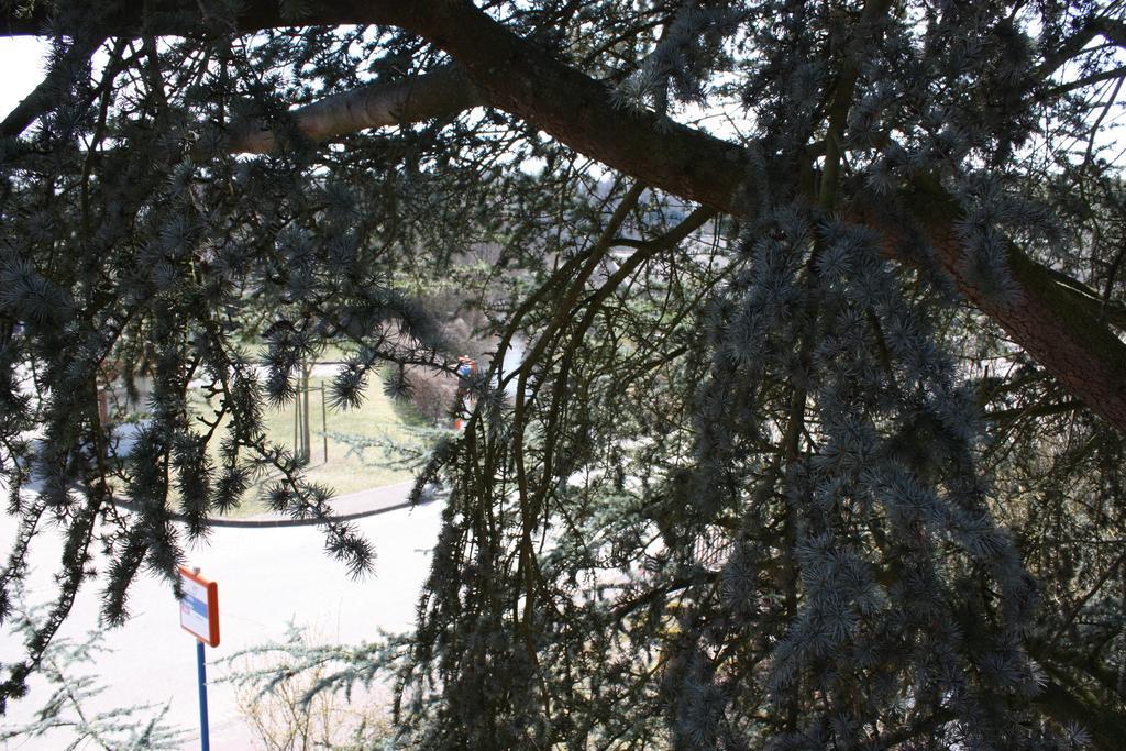 Holiday home Du Moulin